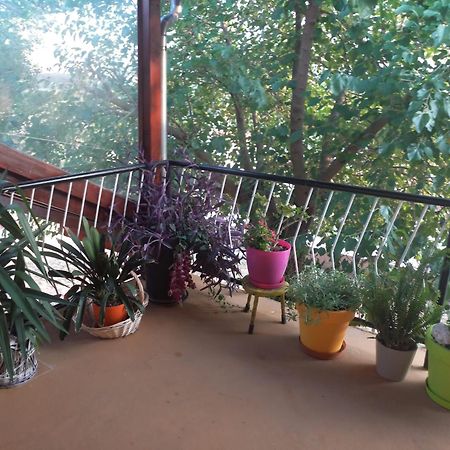 Apartmani Corleone Bilice Luaran gambar